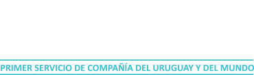 Logo Secom