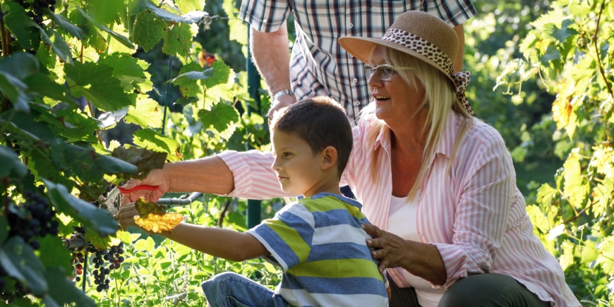 Cuidados para nuestros adultos mayores en el verano